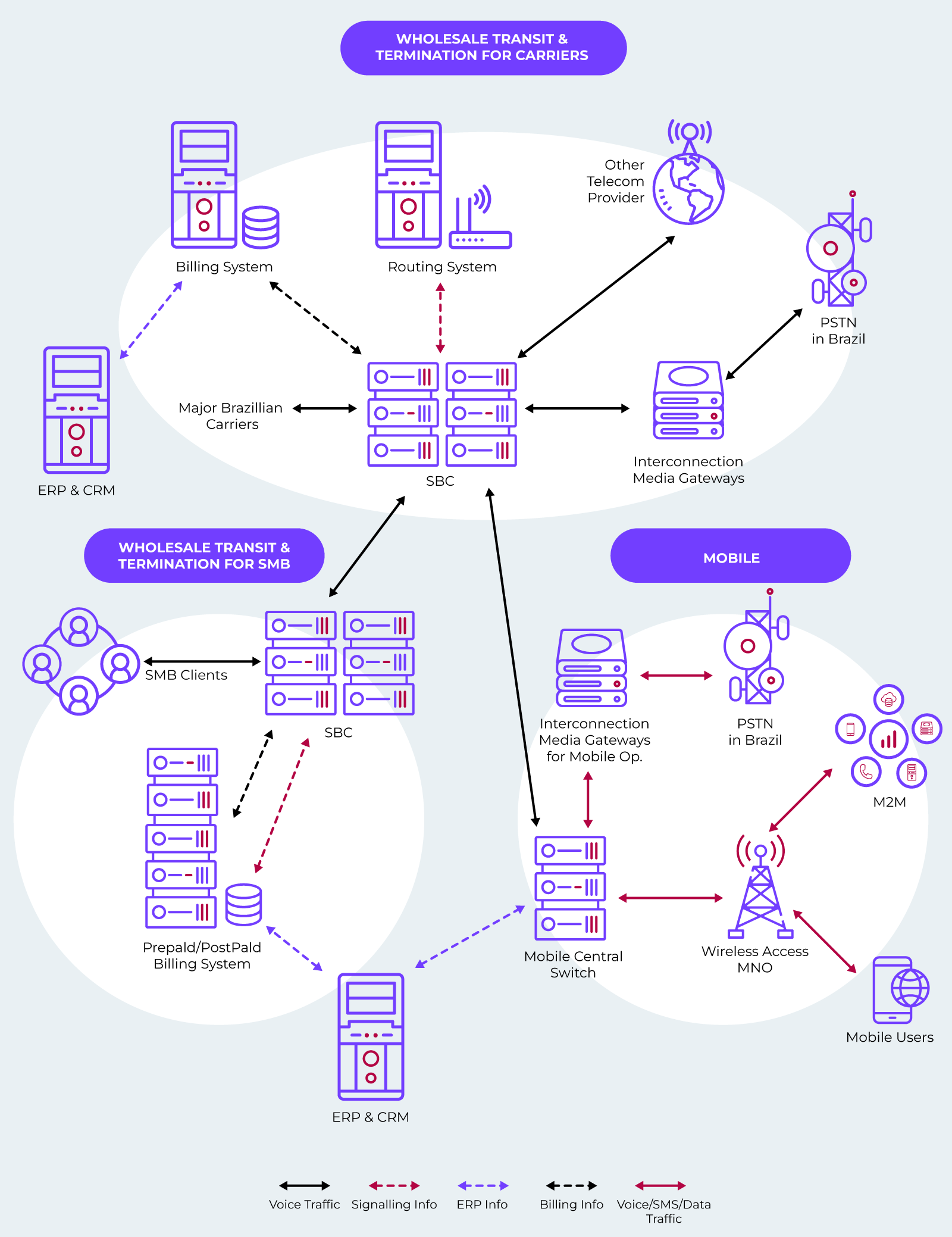 Infografico transmissão de dadpos - Rede Datora